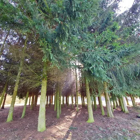 Z Ogromnym Ogrodem * Witaszyn