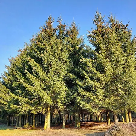 Z Ogromnym Ogrodem * Witaszyn