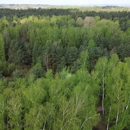 Z Ogromnym Ogrodem * Witaszyn