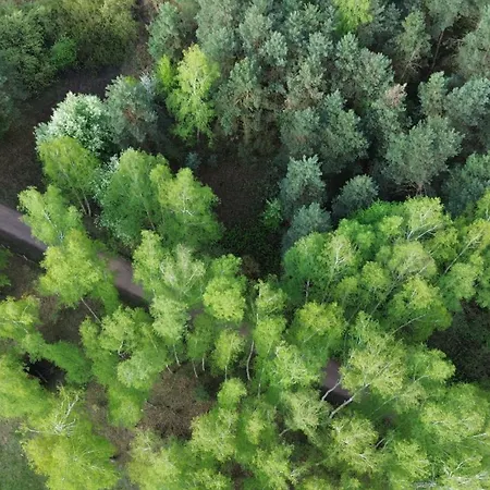 Z Ogromnym Ogrodem *