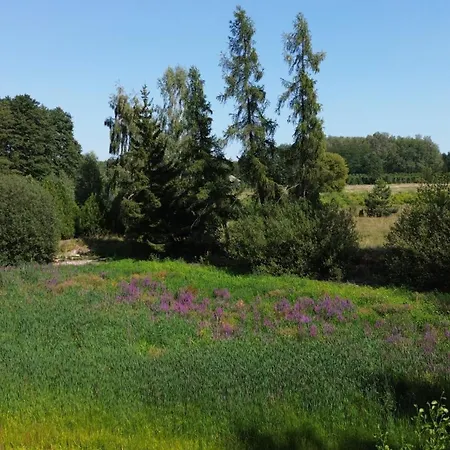 Ferienhaus Z Ogromnym Ogrodem Witaszyn