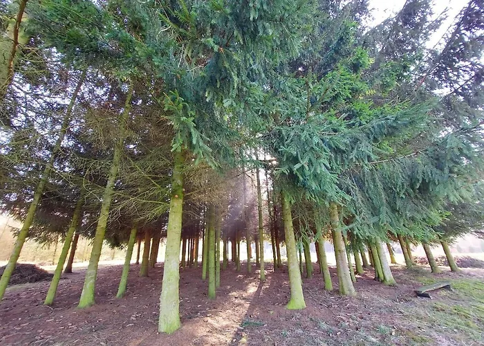 Z Ogromnym Ogrodem * Witaszyn