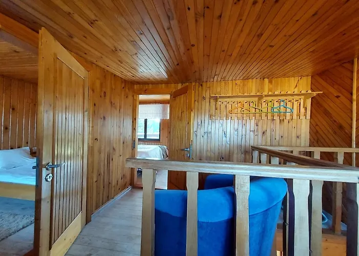 Z Ogromnym Ogrodem *