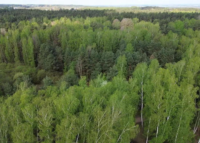 Z Ogromnym Ogrodem * Witaszyn