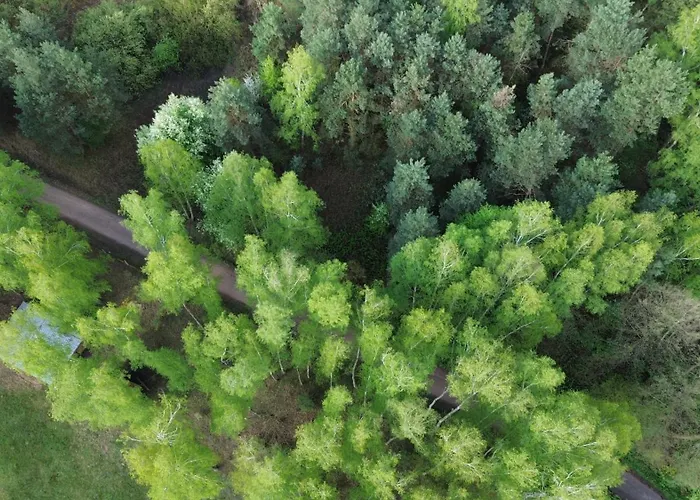 Z Ogromnym Ogrodem *