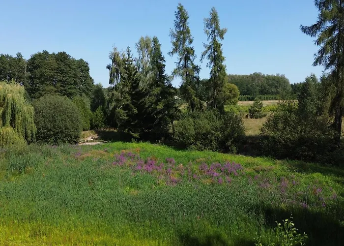 Tatil Evi Z Ogromnym Ogrodem Witaszyn